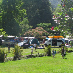 Campsites at Awakeri Holiday park