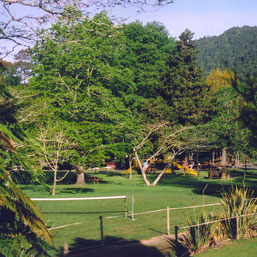 View of Playground and Campsites at Awakeri Holiday Park
