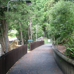 One of the Walking Tracks around Awakeri Holiday Park