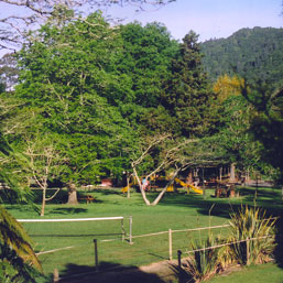 Awakeri Holiday Park Playground