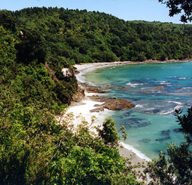 Fishing and Diving at Otarawairere Bay, Whakatane